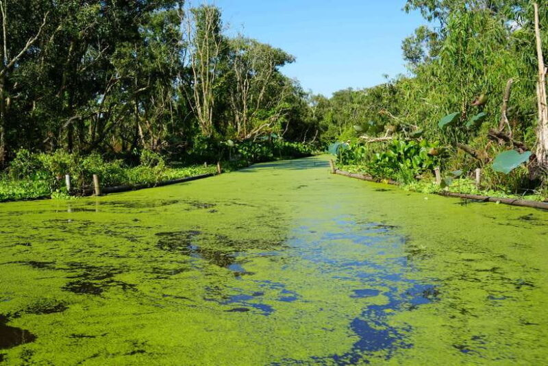 Culture And Wildlife Premium Discovery | Chau Doc – Tra Su - Experiencing the Mekong Delta Landscape