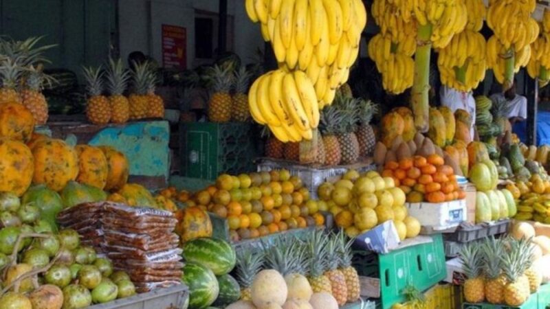 Culture Half Day Tour in Higuey From Punta Cana - Key Points