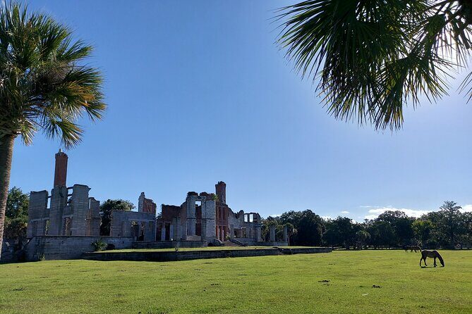 Cumberland Island Walking Tour - Why This Tour Offers Great Value