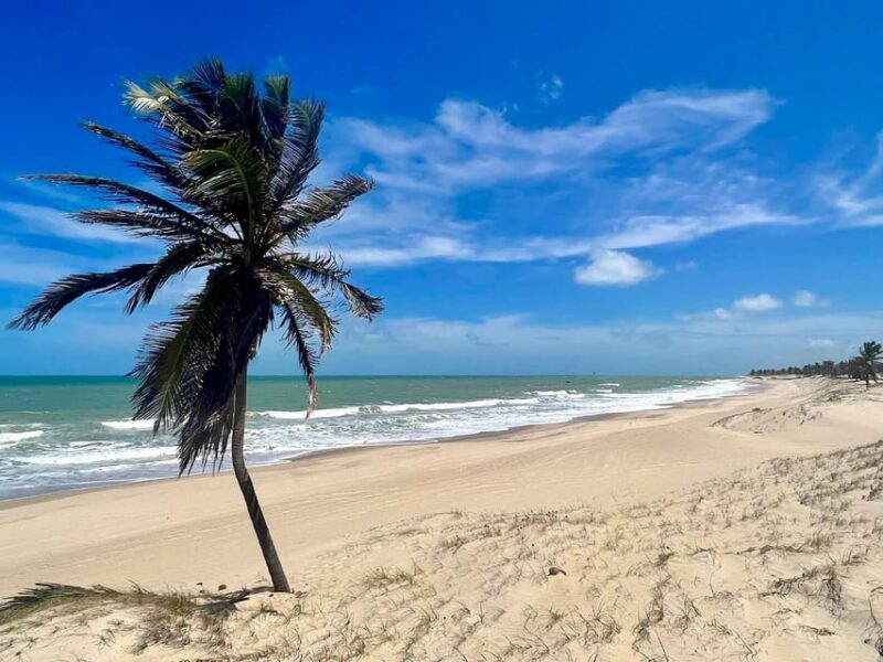 Cumbuco in a Day: Incredible Discoveries - Key Points