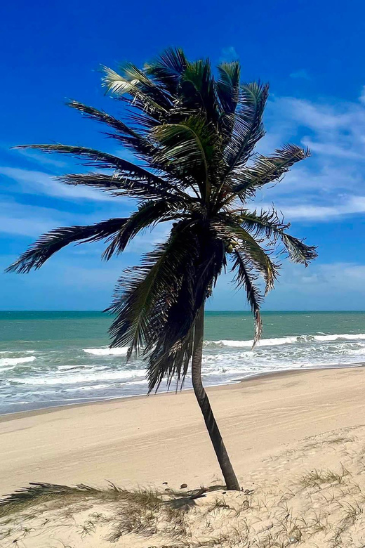 Cumbuco in a Day: Incredible Discoveries - Convenient Pickup and Drop-off