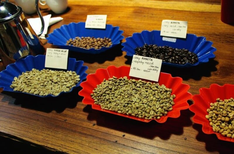 Cupping and Blending Your Own Vietnamese Beans - Experience Highlights
