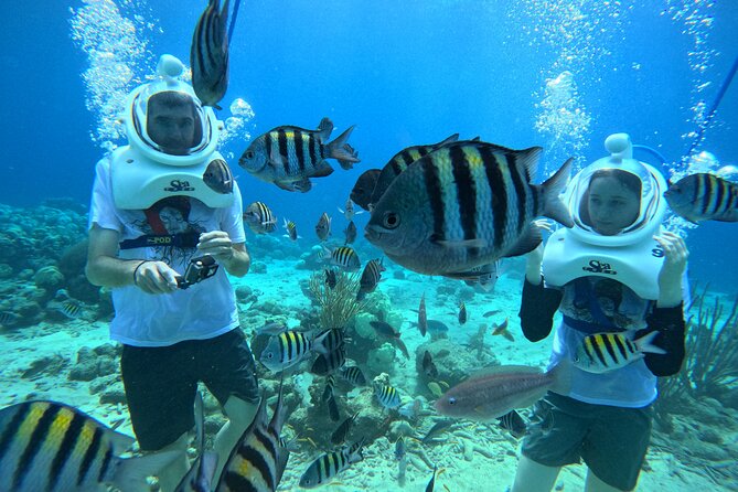 Curacao Guided Underwater Walking Tour No Swimming Skills Needed - Pricing and Inclusions