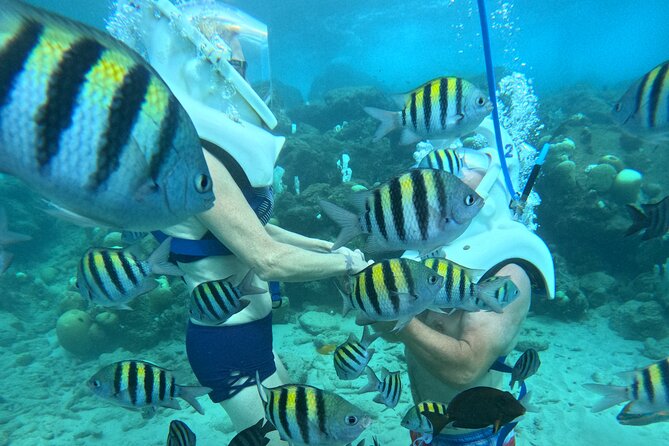 Curacao Guided Underwater Walking Tour No Swimming Skills Needed - Special Offers