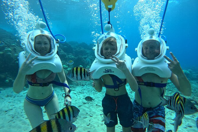 Curacao Guided Underwater Walking Tour No Swimming Skills Needed - Meeting Point Details