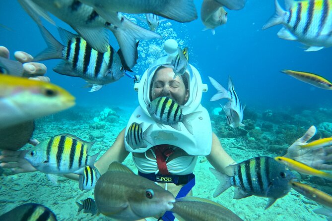 Curacao Guided Underwater Walking Tour No Swimming Skills Needed - Experience Highlights