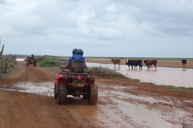 Curacao Half Day ATV East Adventure Tour - Enjoying Spectacular Views