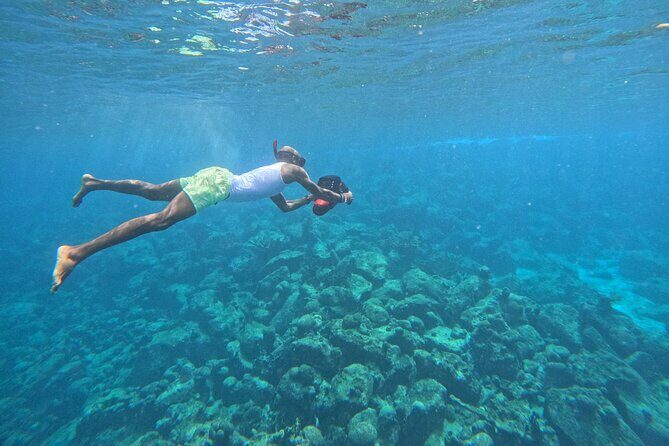 Curacao Reef Sublue Scooters Experience - FAQ: Your Questions Answered