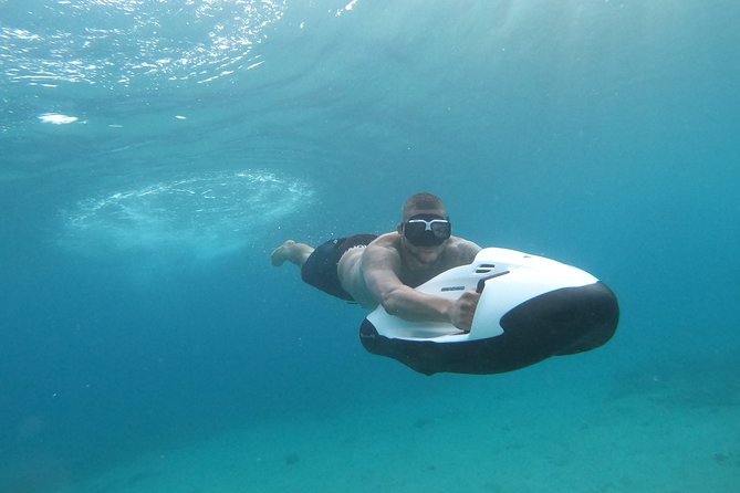 Curaçao Seabob Tour (by Bearded Butlers Curaçao) - Customer Feedback and Experiences