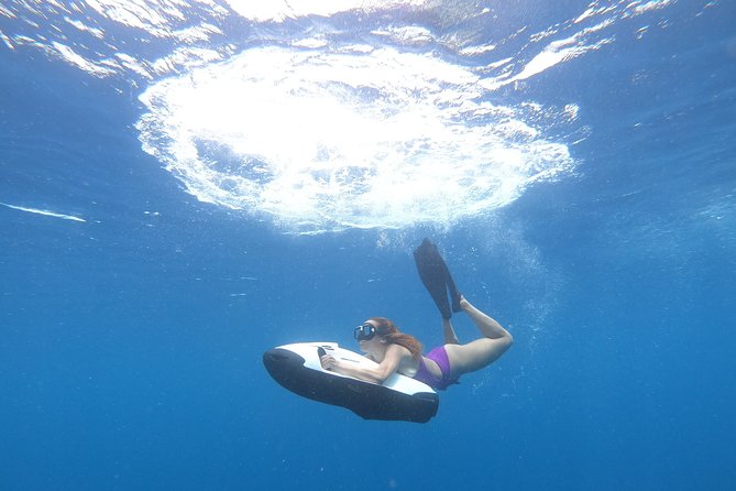 Curaçao Seabob Tour (by Bearded Butlers Curaçao) - Accessibility and Health Restrictions