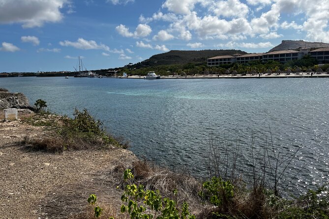 Curacao: Small Group Bus Sightseeing Tour & Snorkling Trip - Snorkeling With Turtles and Flamingos