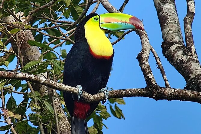 Curicancha Reserve Birdwatching Tour - Meeting and End Point