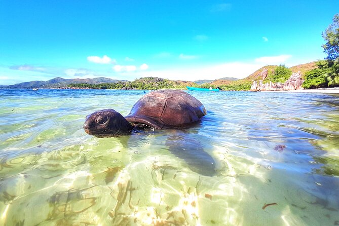 Curieuse and St Pierre Island Excursion Island BBQ Included - Cancellation and Refunds