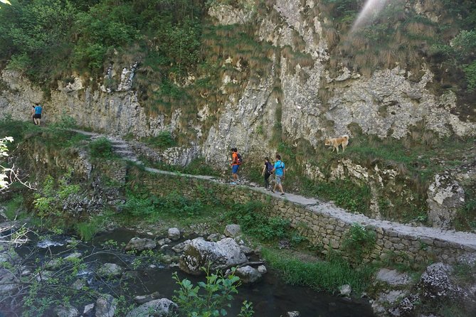 Curly Tour - Day Trip From Cluj :) - Physical Requirements