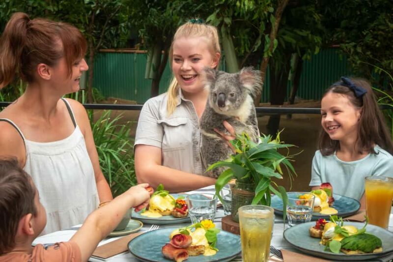 Currumbin Wildlife Sanctuary Entry Ticket - What’s Included in Your Entry Ticket?