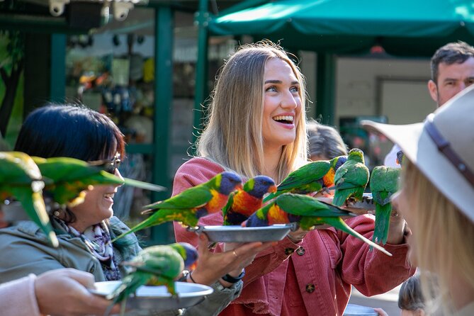 Currumbin Wildlife Sanctuary General Entry Ticket - Admission and Ticket Information