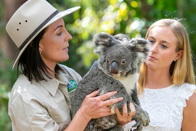 Currumbin Wildlife Sanctuary General Entry Ticket - Additional Services and Inclusions