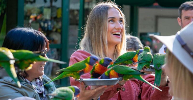 Currumbin Wildlife Sanctuary Ticket - Lost Valley Rainforest