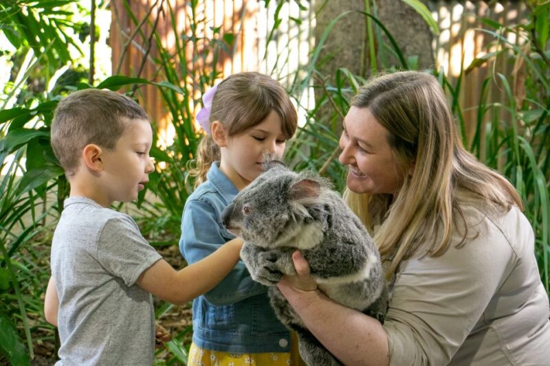 Currumbin Wildlife Sanctuary Ticket - Interactive Keeper Shows