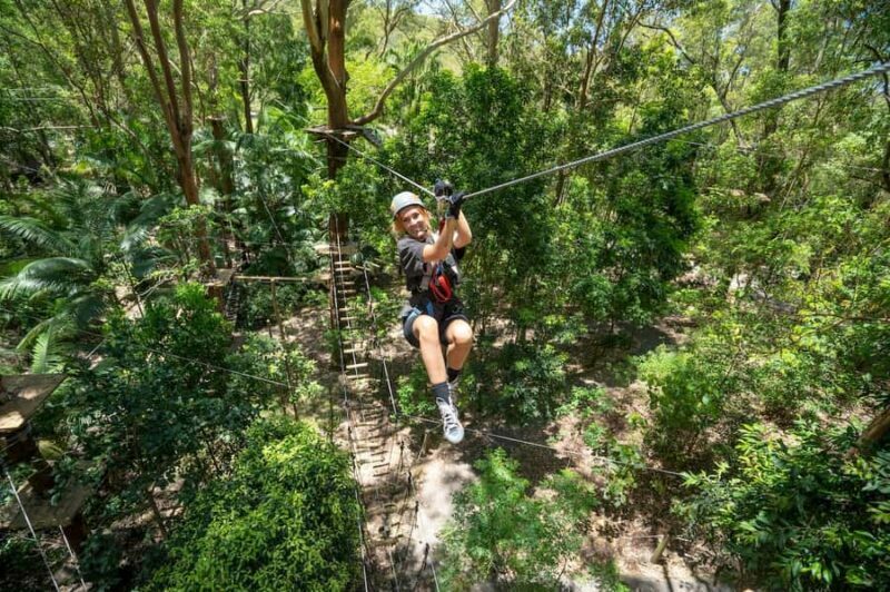 Currumbin Wildlife Sanctuary & TreeTop Challenge Combo - Practical Details You’ll Appreciate