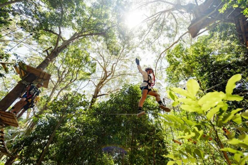 Currumbin Wildlife Sanctuary & TreeTop Challenge Combo - Who Should Consider This Tour?