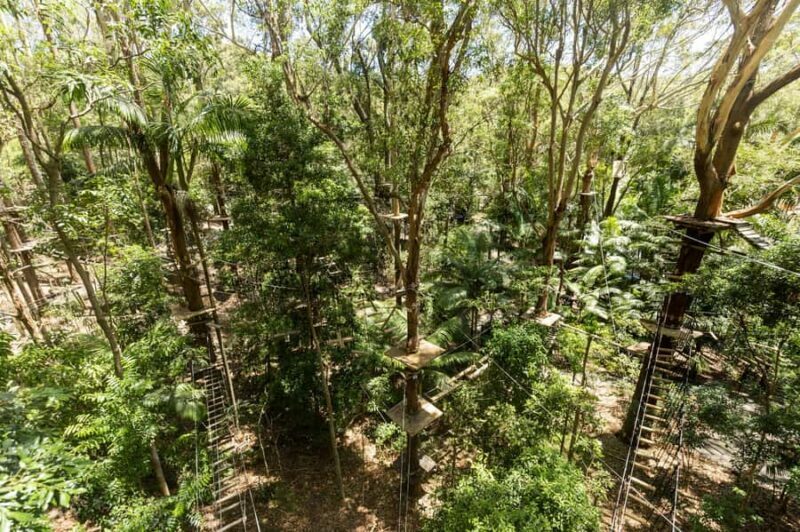 Currumbin Wildlife Sanctuary & TreeTop Challenge Combo - Final Thoughts
