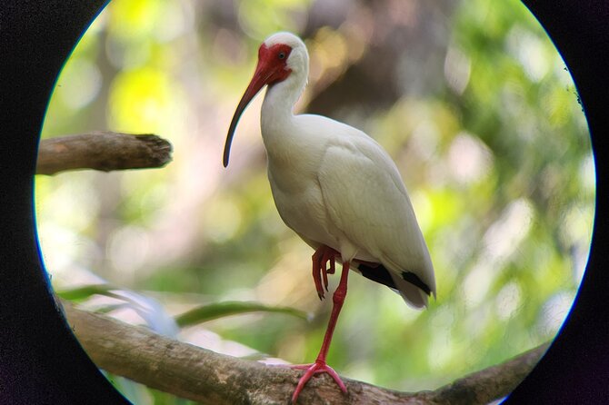 Curú Wildlife Refuge With Transportation - Transportation and Meeting Points