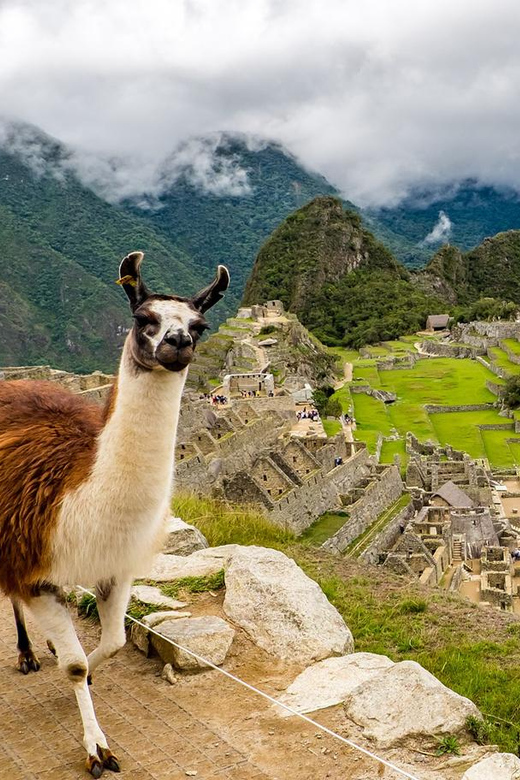 Cusco: 1-Day Expedition or Voyager Train Tour| Private Tour - Key Points