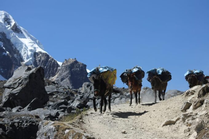 Cusco: 5-Day Salkantay Camping Trek to Machu Picchu - Included Amenities and Logistics
