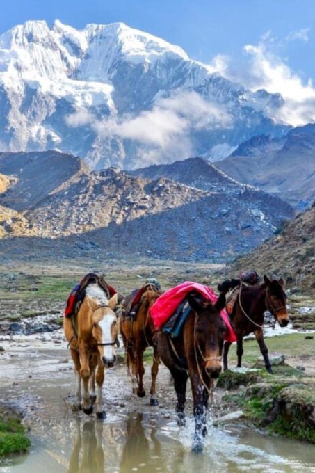 Cusco: 5 Day Trek From Salkantay to Machu Picchu - Frequently Asked Questions