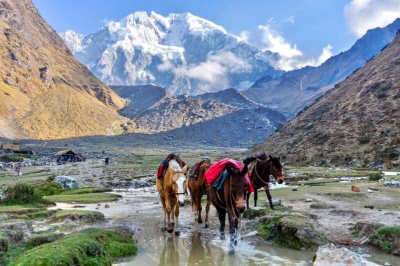 Cusco: 5 Days Trekking Salkantay/Machu Picchu - Whats Not Included