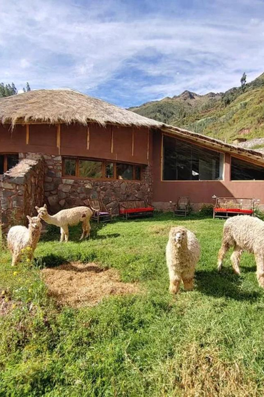 Cusco: 5DAY Ayahuasca Retreat With Meditation & Volunteering - Healing Ceremonies and Activities