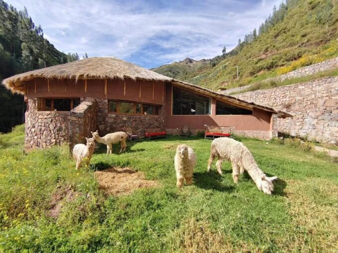 Cusco: 7-Day Ayahuasca Retreat & Machu Picchu Visit - Machu Picchu Guided Tour