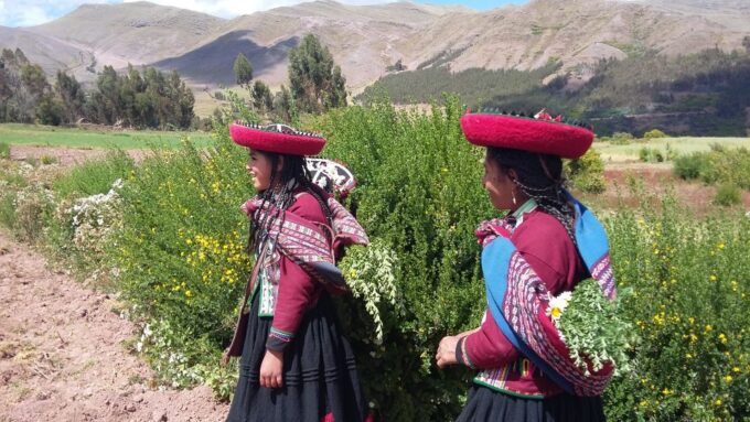 Cusco: A Cultural Day at a Cusco Community - Transportation and Guides