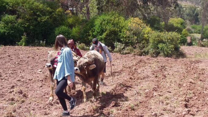 Cusco: A Cultural Day at a Cusco Community - What to Bring and Expect