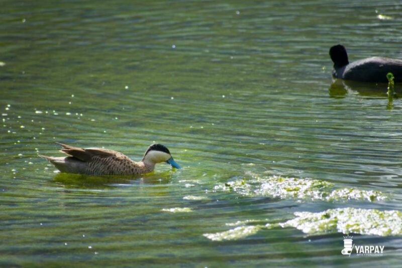 Cusco: Abode of the Gods, Valley of the Goblins and Huasao - Forest of the Ents