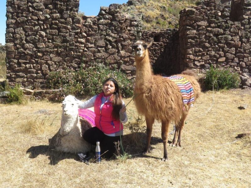Cusco: Alcapa Therapy + Handcrafted Creativity |Private| - Key Points