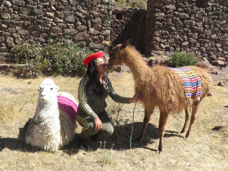 Cusco: Alcapa Therapy + Handcrafted Creativity |Private| - Itinerary and Experience