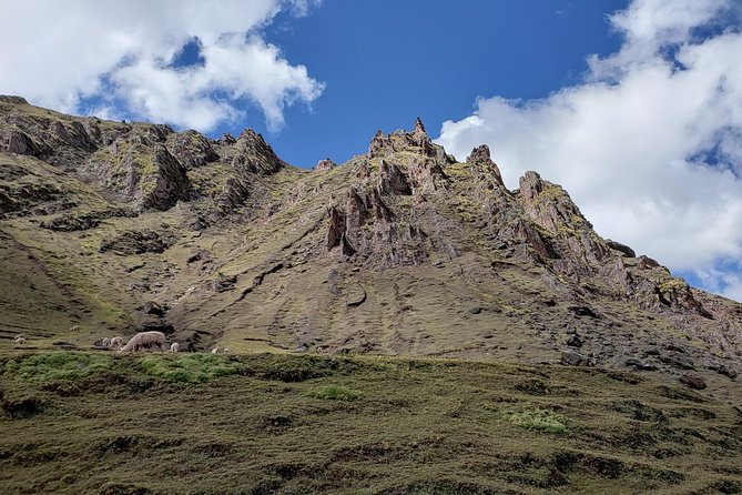 Cusco: Alpaca and Llama Farm Tour With Transfer & Weaving Demo - Convenient Transportation and Pickup