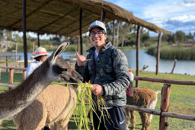 Cusco: Archeological Sites Tour and Forest Photo Experience - Tour Requirements and Recommendations