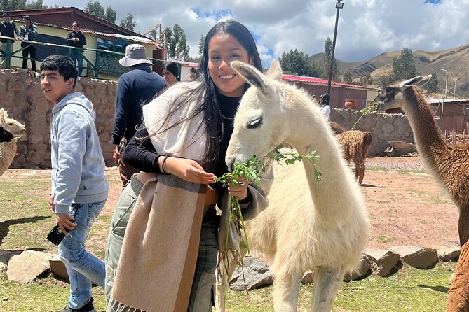 Cusco: Archeological Sites Tour and Forest Photo Experience - Exploring Peruvian Culture and History