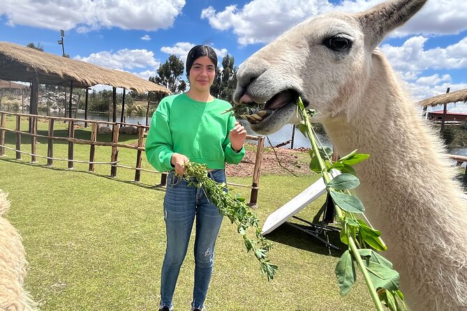 Cusco: Archeological Sites Tour and Forest Photo Experience - Reviews and Ratings