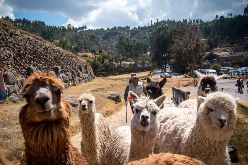 Cusco City Tour - Itinerary Highlights