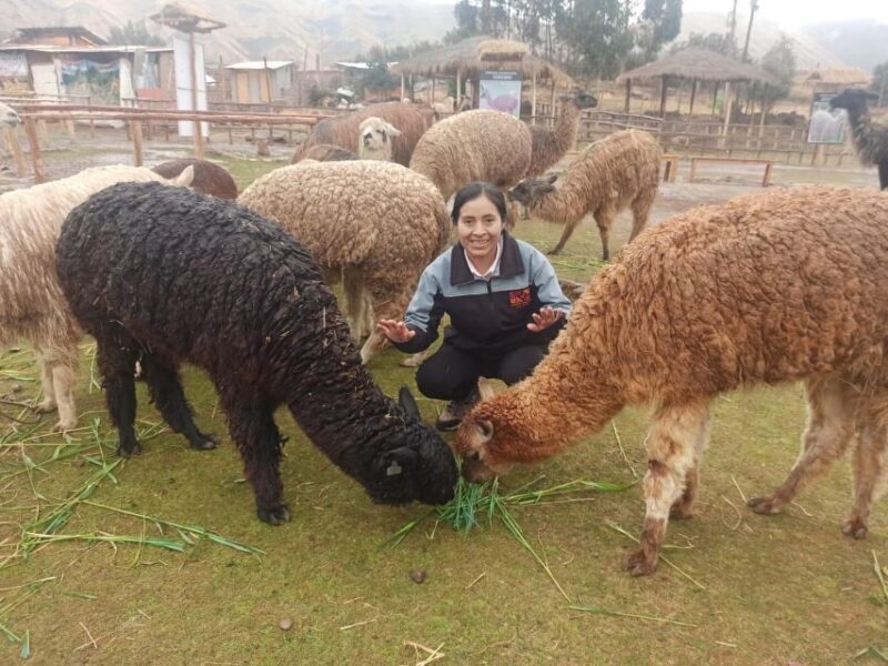 Cusco: City Tour Photography Experience - Key Points