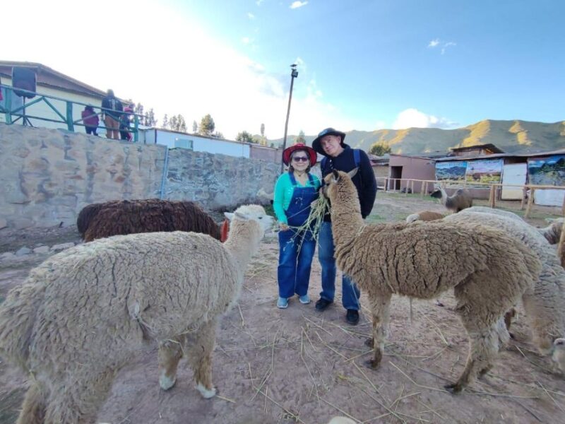 Cusco: City Tour Photography Experience - Inclusions and Fees