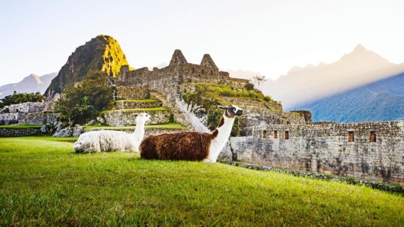 Cusco: Excursion Machu Picchu 1-day by Train | Private Tour - Cancellation and Payment