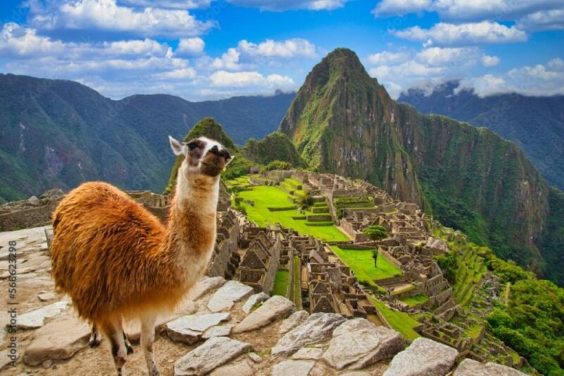 Cusco: Excursion to Machu Picchu 1 Day + General Ticket & Train - Suitability Restrictions