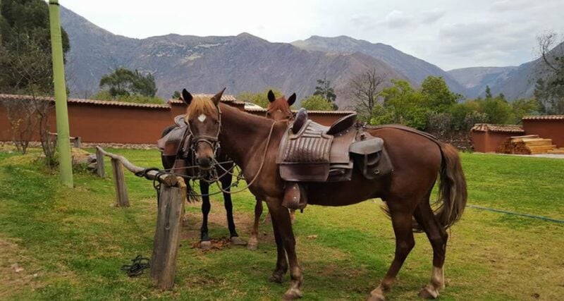 Cusco: Full-Day Horseback Riding Tour to Maras & Moray - Itinerary Highlights
