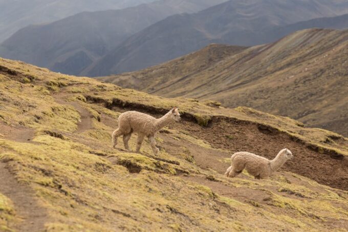 Cusco: Full-Day Private Hike to Palcoyo Rainbow Mountain - Sustainable Tourism Practices