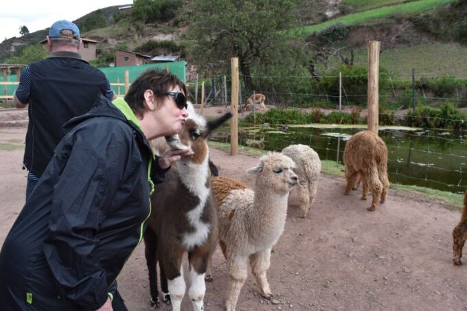 Cusco: Full-Day Sacred Valley of the Incas Private Tour - Booking Contact